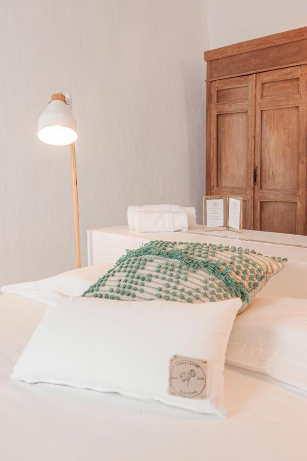 971 Hotel Con Encanto ثيوداديلا المظهر الخارجي الصورة